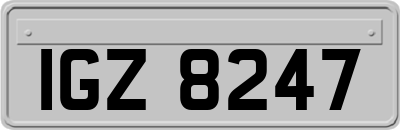 IGZ8247