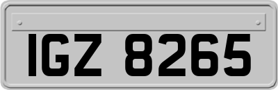 IGZ8265