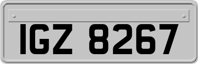 IGZ8267