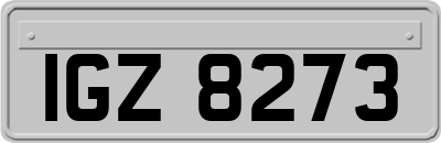 IGZ8273