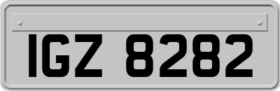 IGZ8282