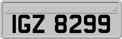 IGZ8299