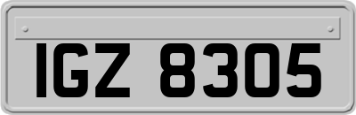 IGZ8305