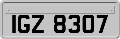 IGZ8307