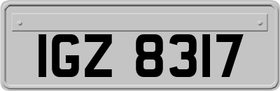 IGZ8317