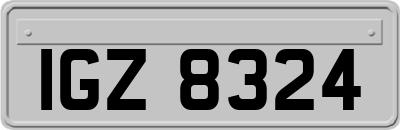 IGZ8324