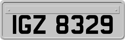 IGZ8329