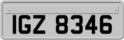 IGZ8346