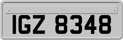 IGZ8348