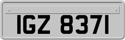 IGZ8371