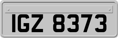 IGZ8373