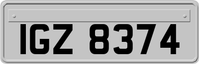 IGZ8374