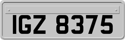 IGZ8375