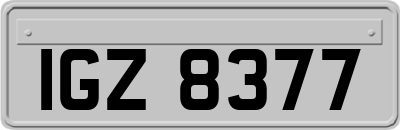 IGZ8377