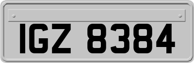 IGZ8384
