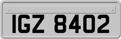 IGZ8402