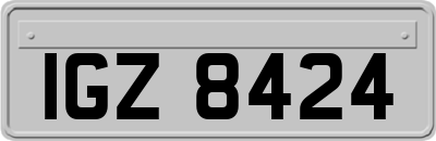 IGZ8424
