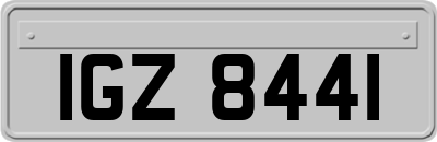 IGZ8441