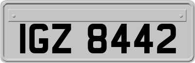 IGZ8442