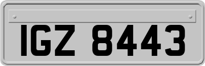 IGZ8443