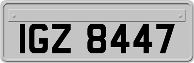 IGZ8447