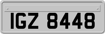 IGZ8448