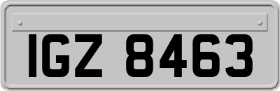 IGZ8463