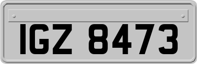 IGZ8473