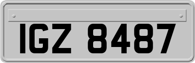 IGZ8487