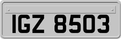 IGZ8503