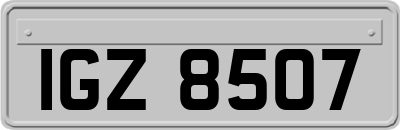 IGZ8507