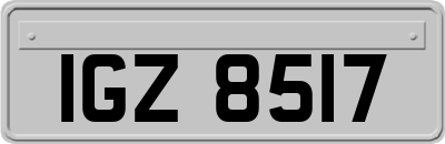 IGZ8517
