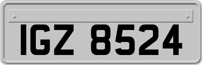 IGZ8524