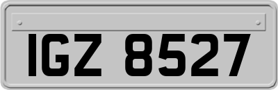 IGZ8527