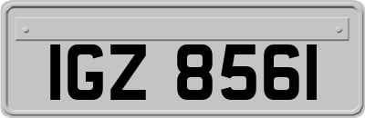 IGZ8561