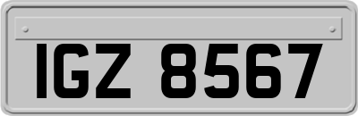IGZ8567