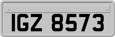 IGZ8573