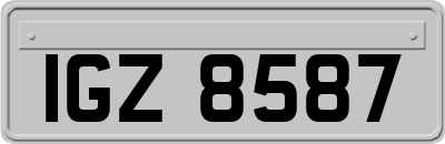 IGZ8587