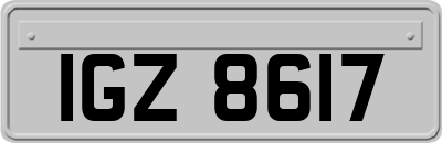 IGZ8617