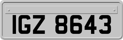 IGZ8643
