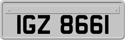 IGZ8661