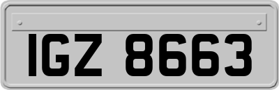 IGZ8663