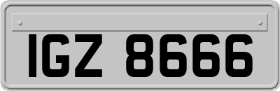 IGZ8666