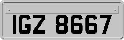 IGZ8667