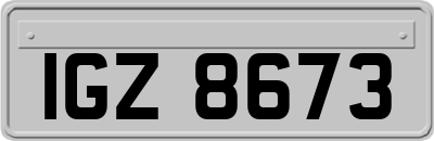 IGZ8673