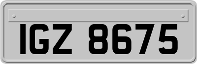IGZ8675