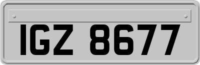IGZ8677