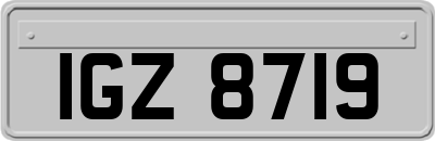 IGZ8719