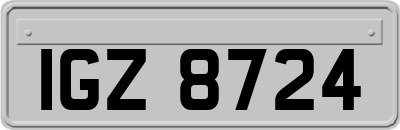 IGZ8724