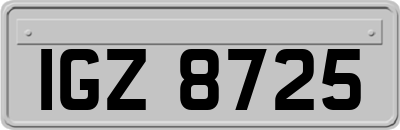 IGZ8725